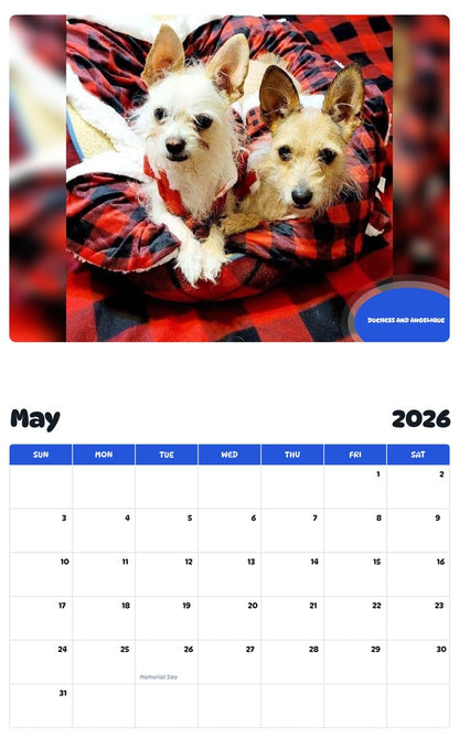 2026 - 2027 DUCHESS AND ANGELIQUE - Pawidols Pet Calendar