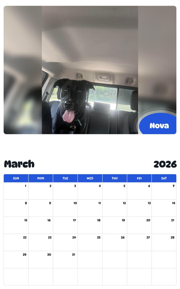 November 2025 - October 2026 Nova - Pawidols Pet Calendar