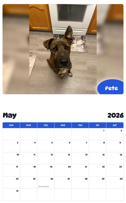 2026 - 2027 Pete - Pawidols Pet Calendar