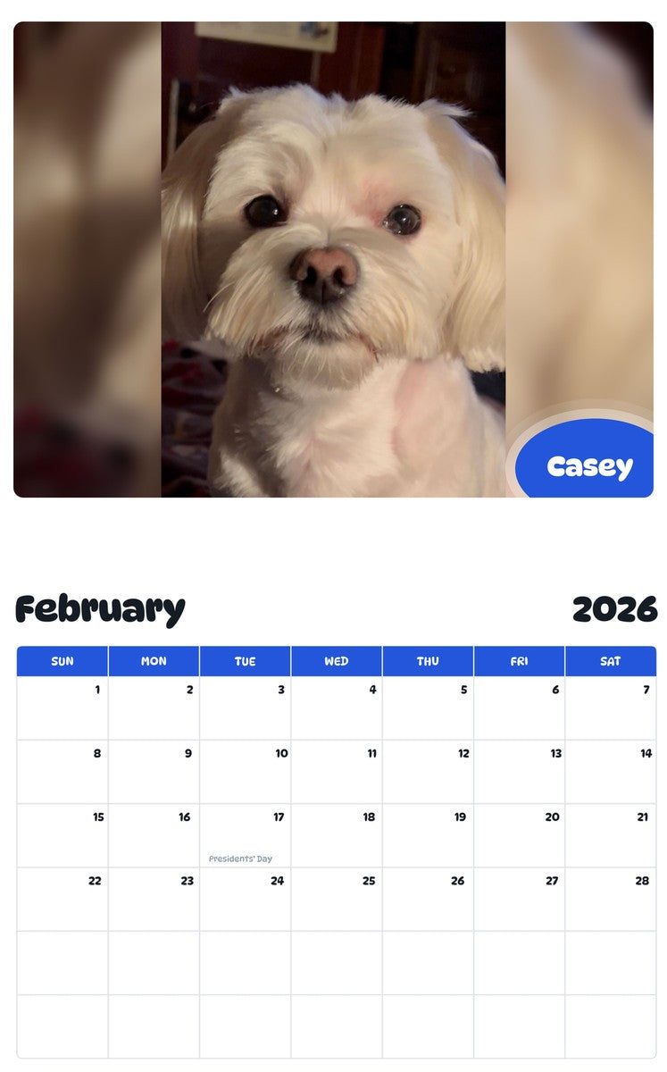 October 2025 - September 2026 Casey - Pawidols Pet Calendar