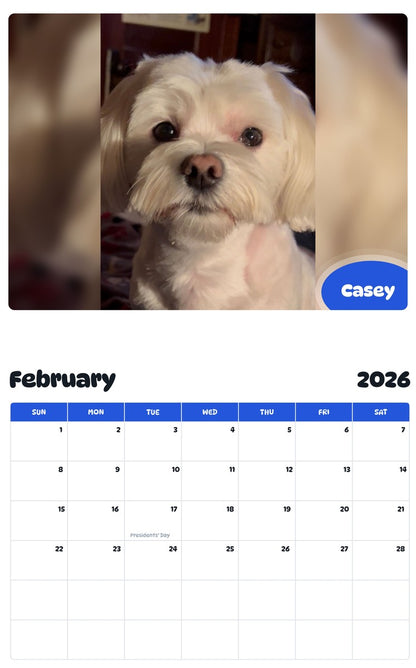 October 2025 - September 2026 Casey - Pawidols Pet Calendar