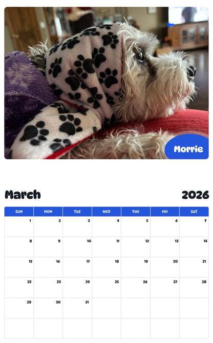 November 2025 - October 2026 Morrie - Pawidols Pet Calendar