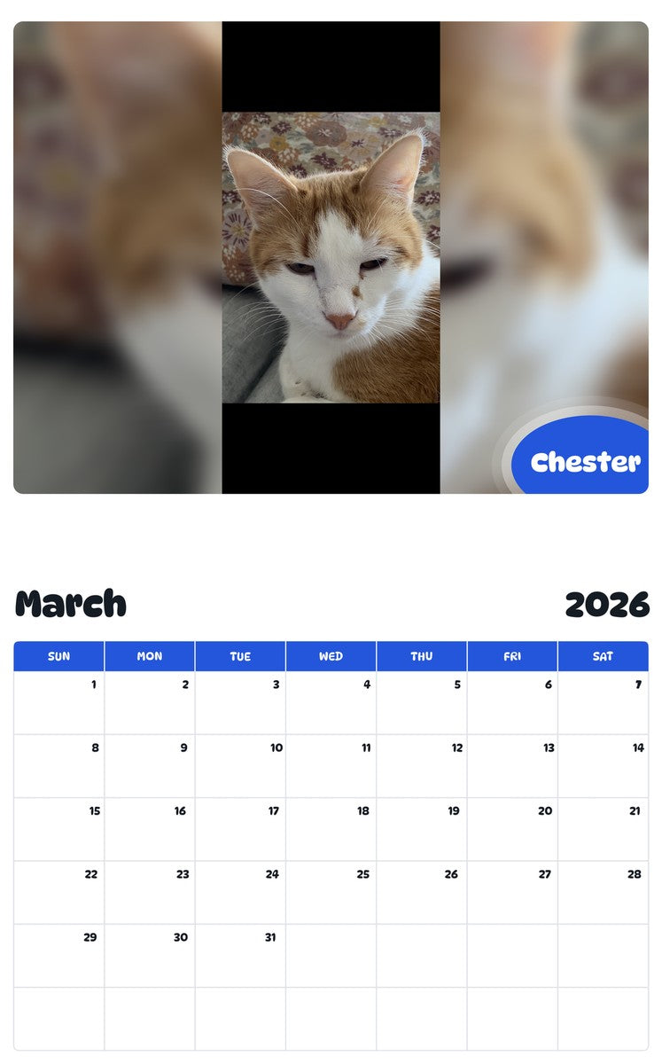 November 2025 - October 2026 Chester - Pawidols Pet Calendar