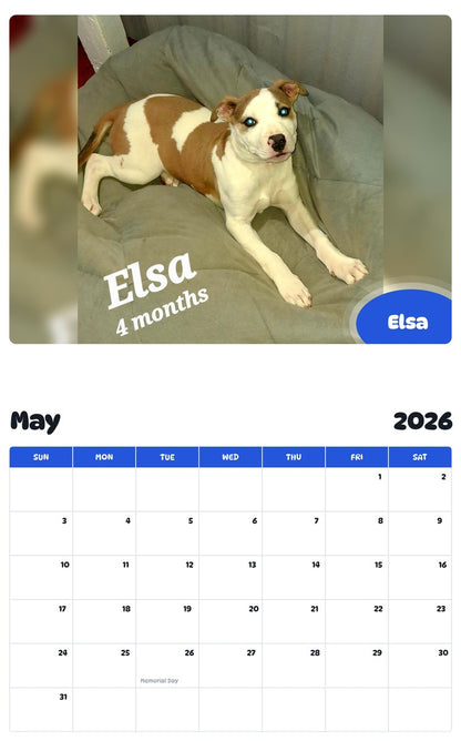 2026 - 2027 Elsa - Pawidols Pet Calendar