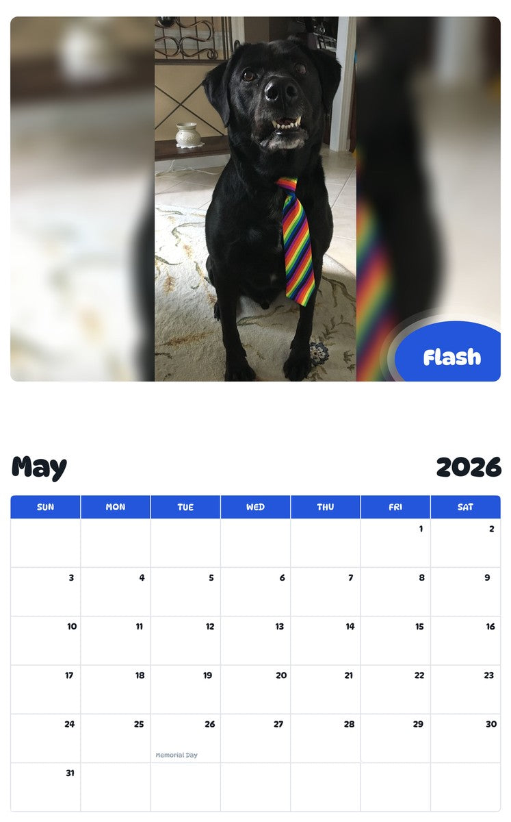 2026 - 2027 Flash - Pawidols Pet Calendar