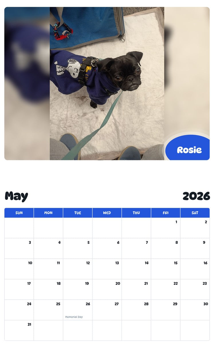 2026 - 2027 Rosie - Pawidols Pet Calendar