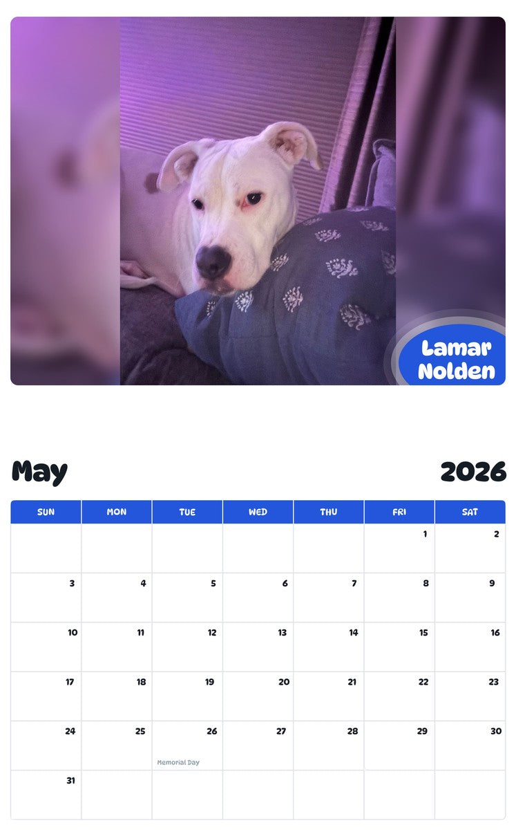 2026 - 2027 Lamar Nolden - Pawidols Pet Calendar