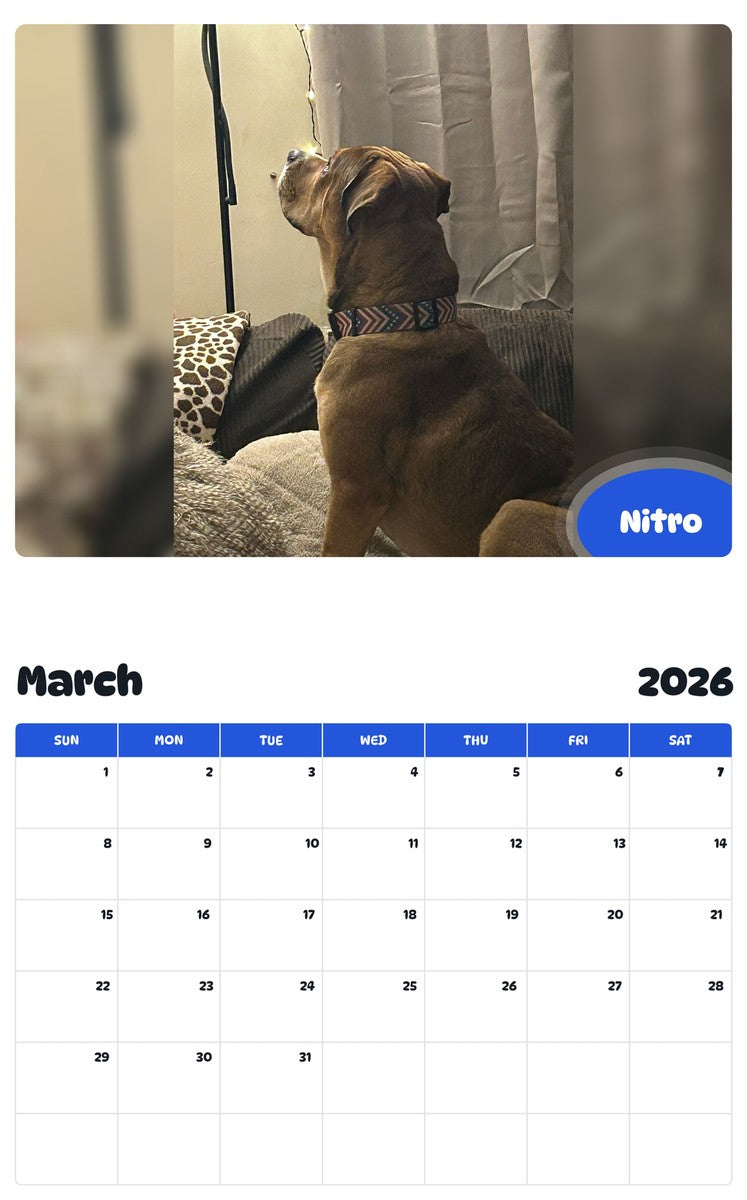 November 2025 - October 2026 Nitro - Pawidols Pet Calendar
