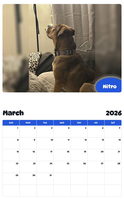 November 2025 - October 2026 Nitro - Pawidols Pet Calendar