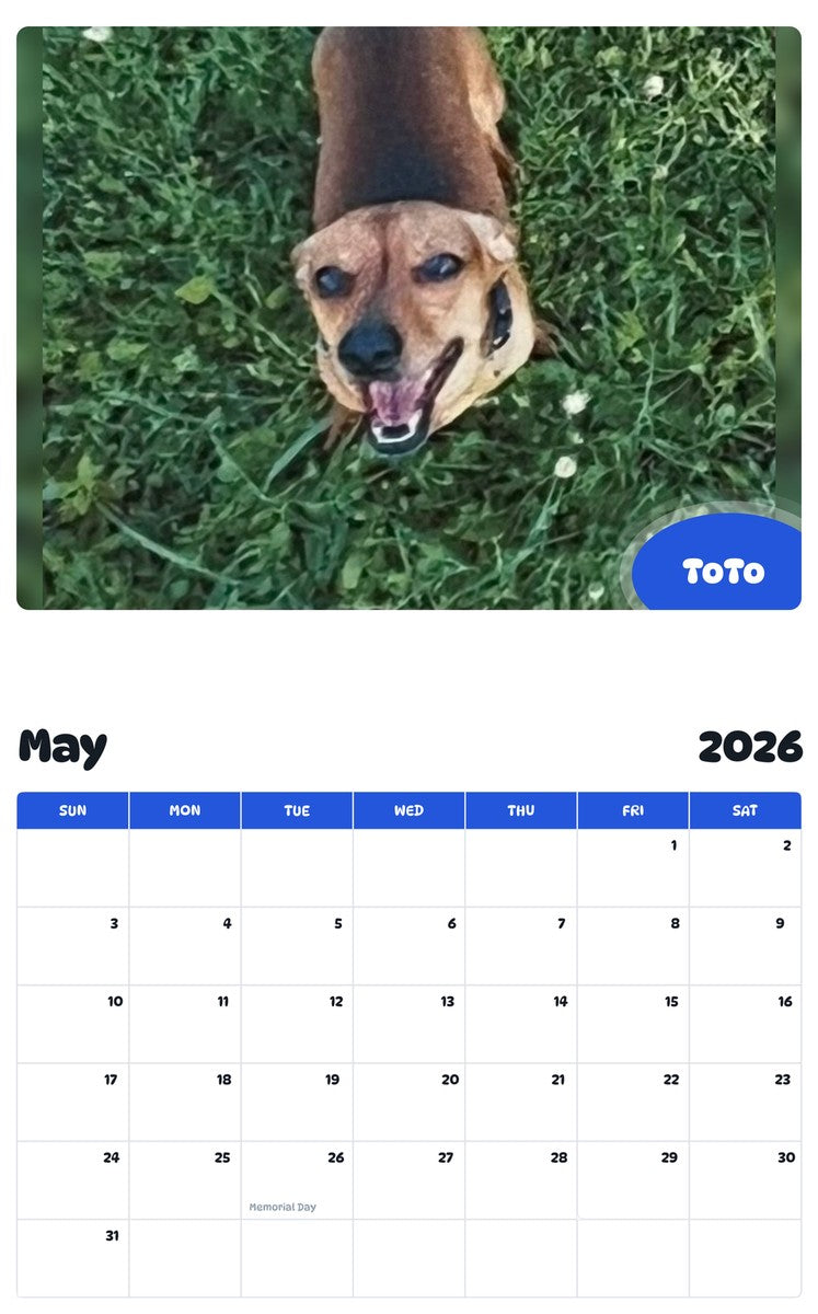 2026 - 2027 ToTo - Pawidols Pet Calendar