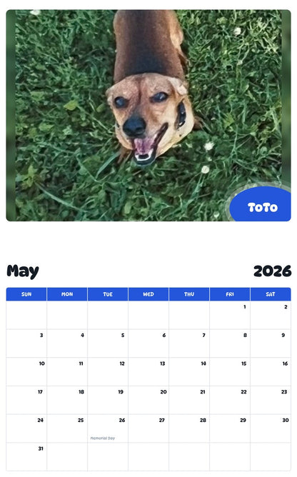 2026 - 2027 ToTo - Pawidols Pet Calendar