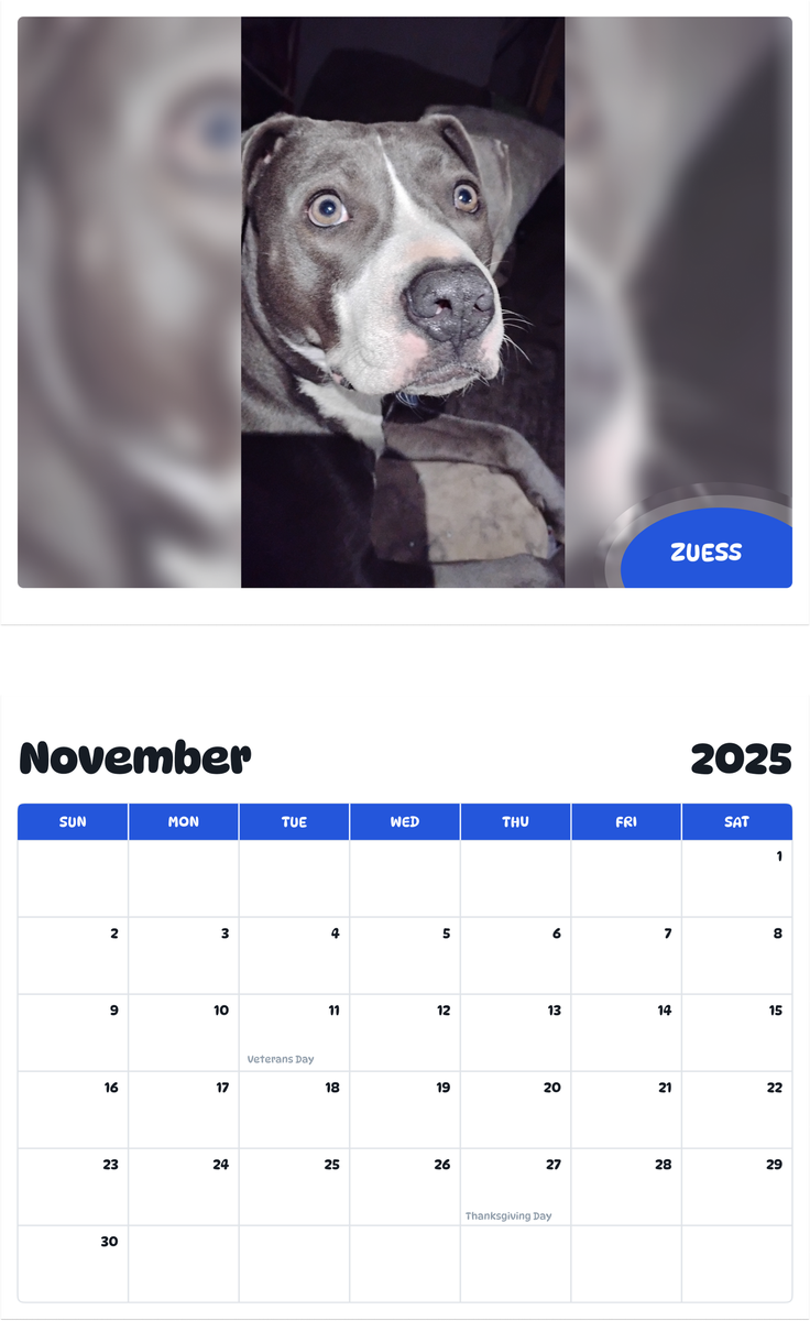 July 2025 - June 2026 Zuess - Pawidols Pet Calendar