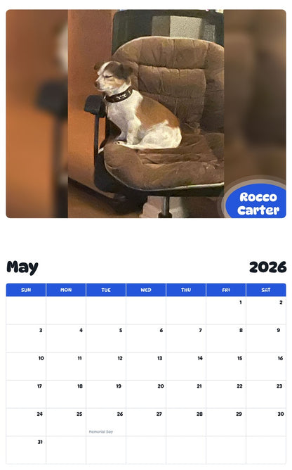 2026 - 2027 Rocco Carter - Pawidols Pet Calendar