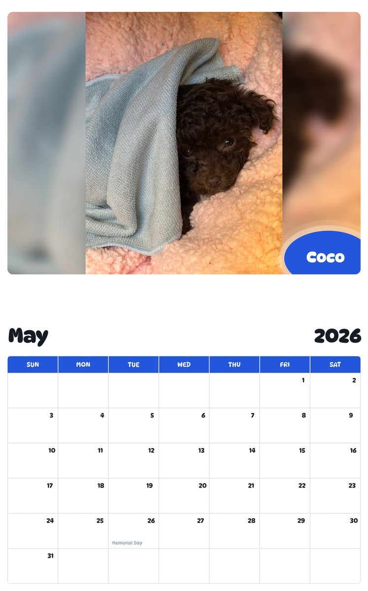 2026 - 2027 Coco - Pawidols Pet Calendar