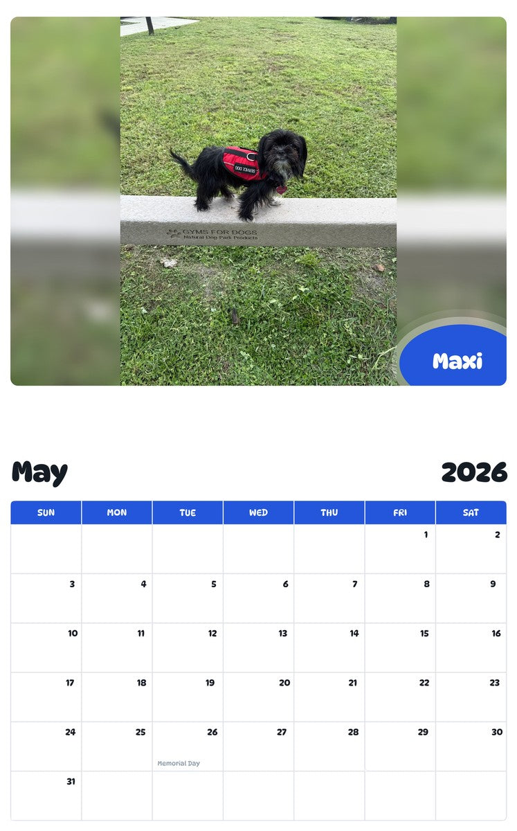2026 - 2027 Maxi - Pawidols Pet Calendar