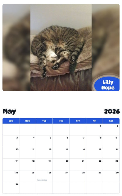 2026 - 2027 Lilly Hope - Pawidols Pet Calendar