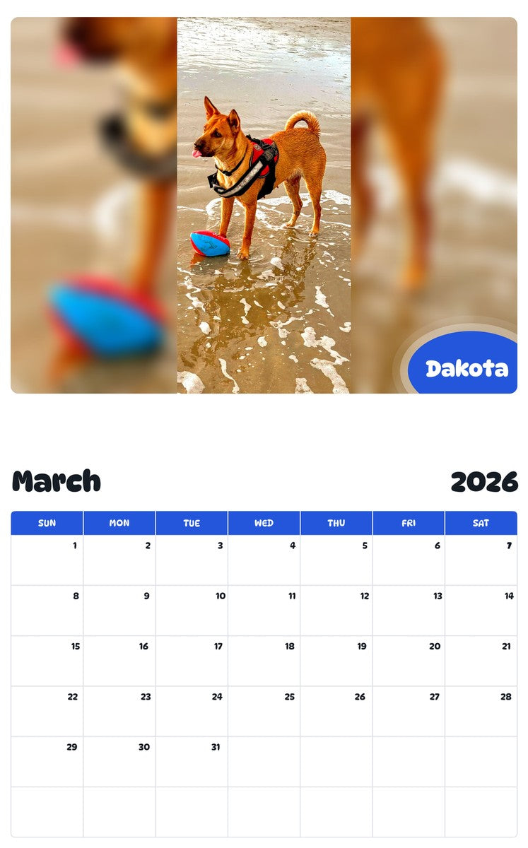 November 2025 - October 2026 Dakota - Pawidols Pet Calendar