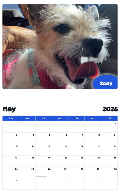 2026 - 2027 Zoey - Pawidols Pet Calendar