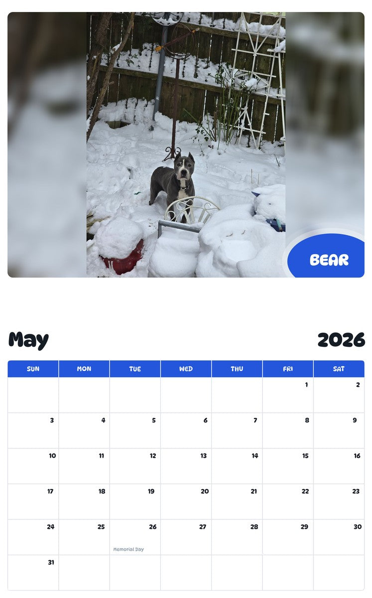 2026 - 2027 BEAR - Pawidols Pet Calendar