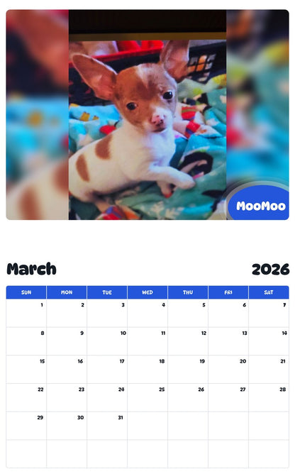 November 2025 - October 2026 MooMoo - Pawidols Pet Calendar