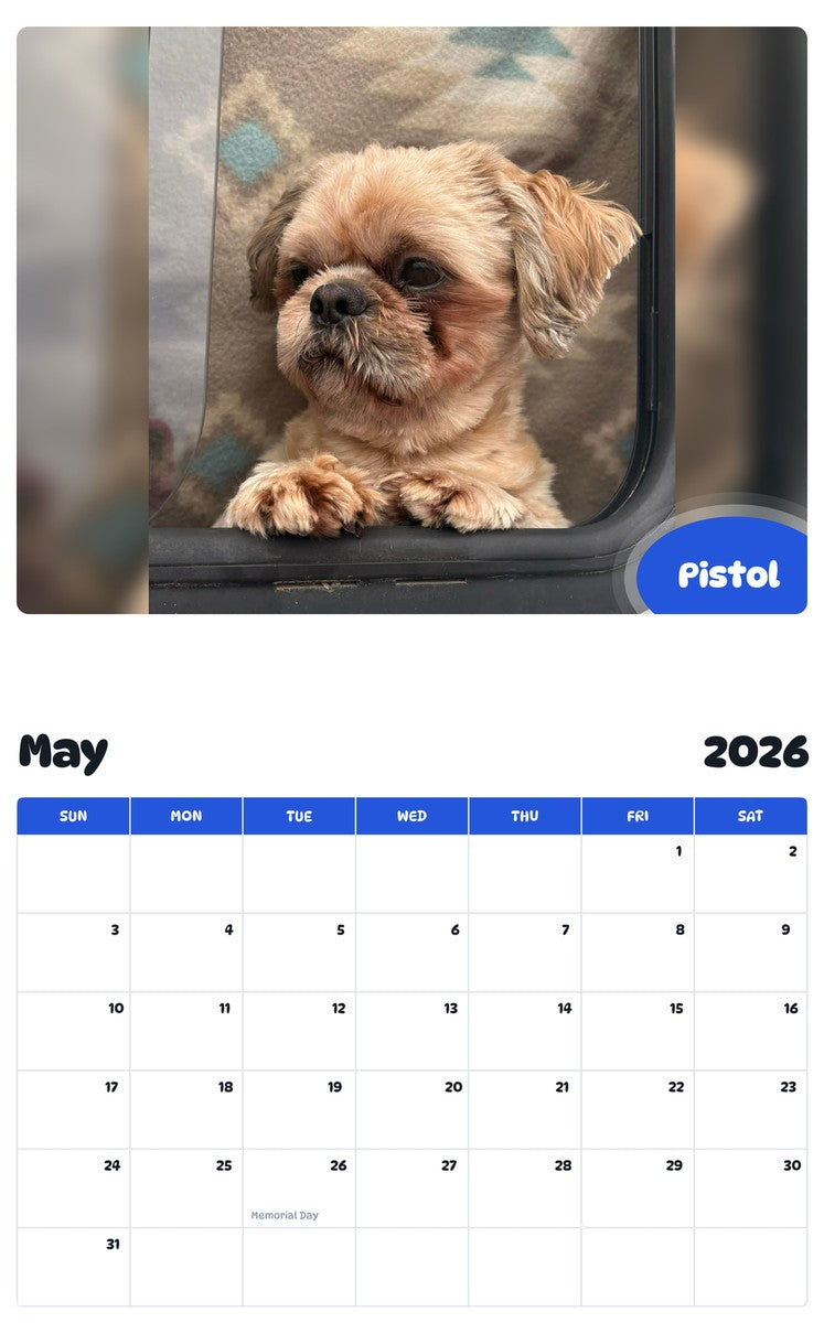 2026 - 2027 Pistol - Pawidols Pet Calendar