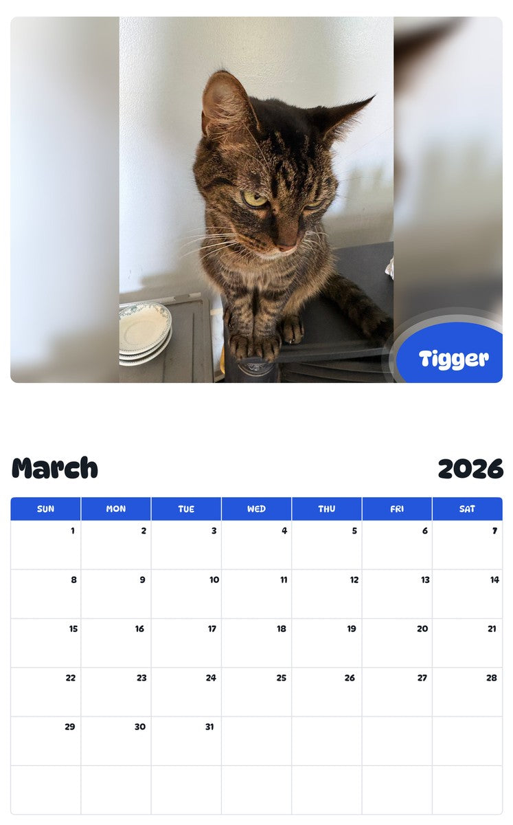 November 2025 - October 2026 Tigger - Pawidols Pet Calendar