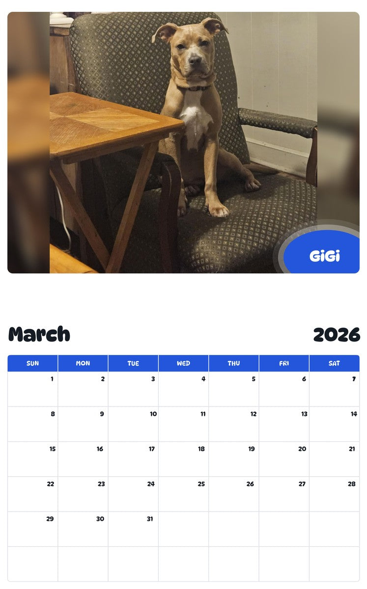 November 2025 - October 2026 GiGi - Pawidols Pet Calendar