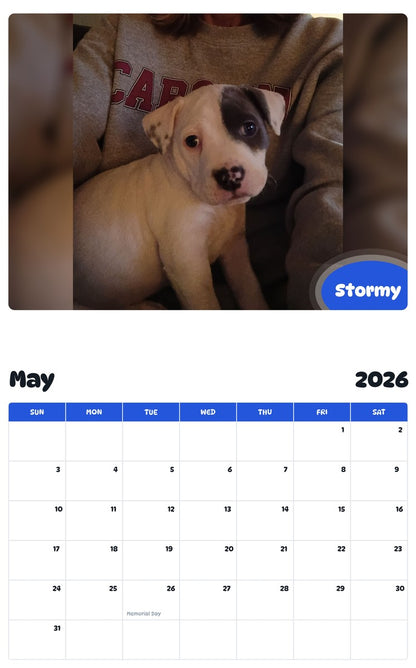 2026 - 2027 Stormy - Pawidols Pet Calendar