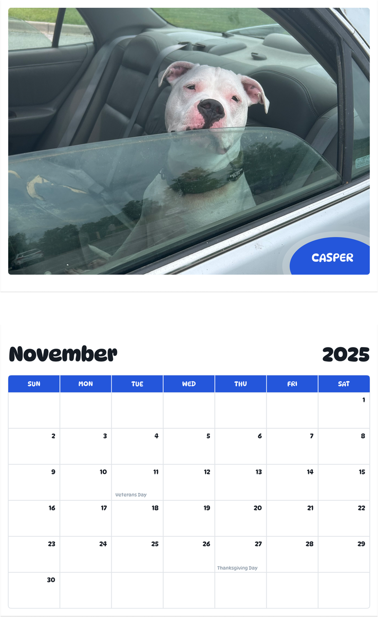 July 2025 - June 2026 Casper - Pawidols Pet Calendar