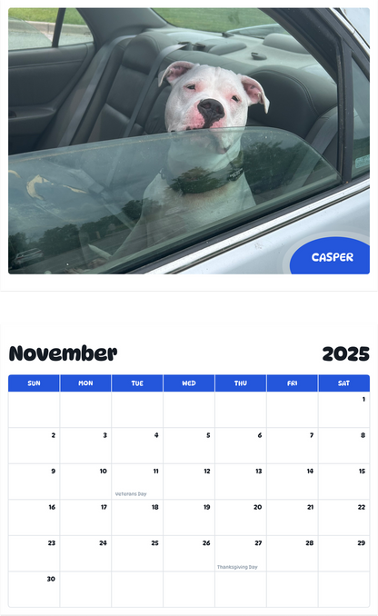 July 2025 - June 2026 Casper - Pawidols Pet Calendar