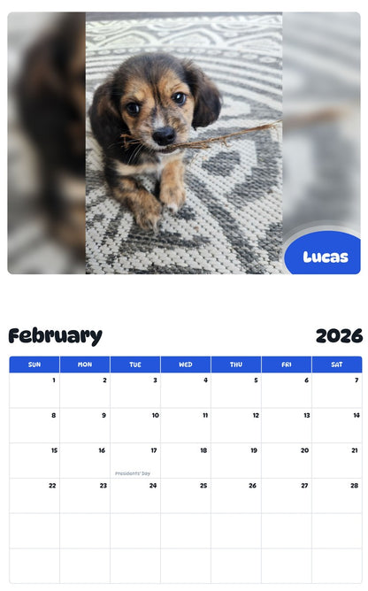 November 2025 - October 2026 Lucas - Pawidols Pet Calendar
