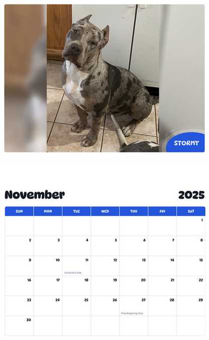 July 2025 - June 2026 Stormy - Pawidols Pet Calendar