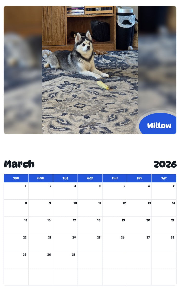 November 2025 - October 2026 Willow - Pawidols Pet Calendar