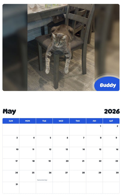 2026 - 2027 Buddy - Pawidols Pet Calendar