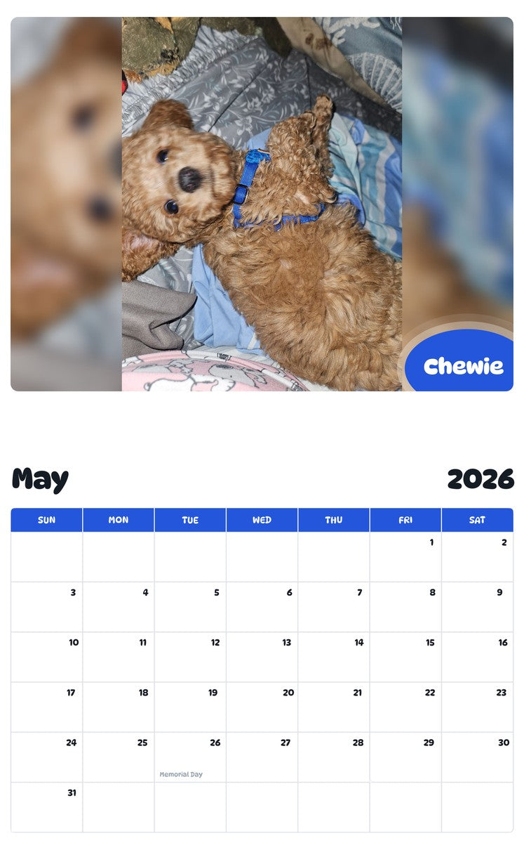 2026 - 2027 Chewie - Pawidols Pet Calendar