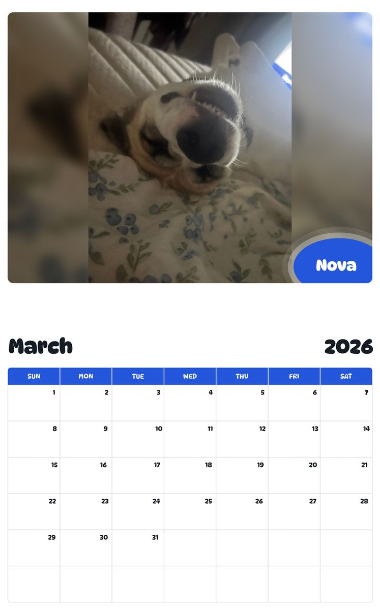 November 2025 - October 2026 Nova - Pawidols Pet Calendar