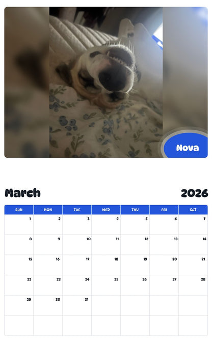 November 2025 - October 2026 Nova - Pawidols Pet Calendar