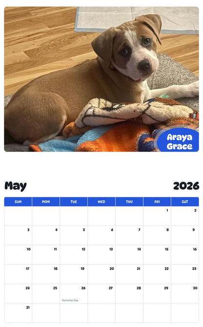 2026 - 2027 Araya Grace - Pawidols Pet Calendar