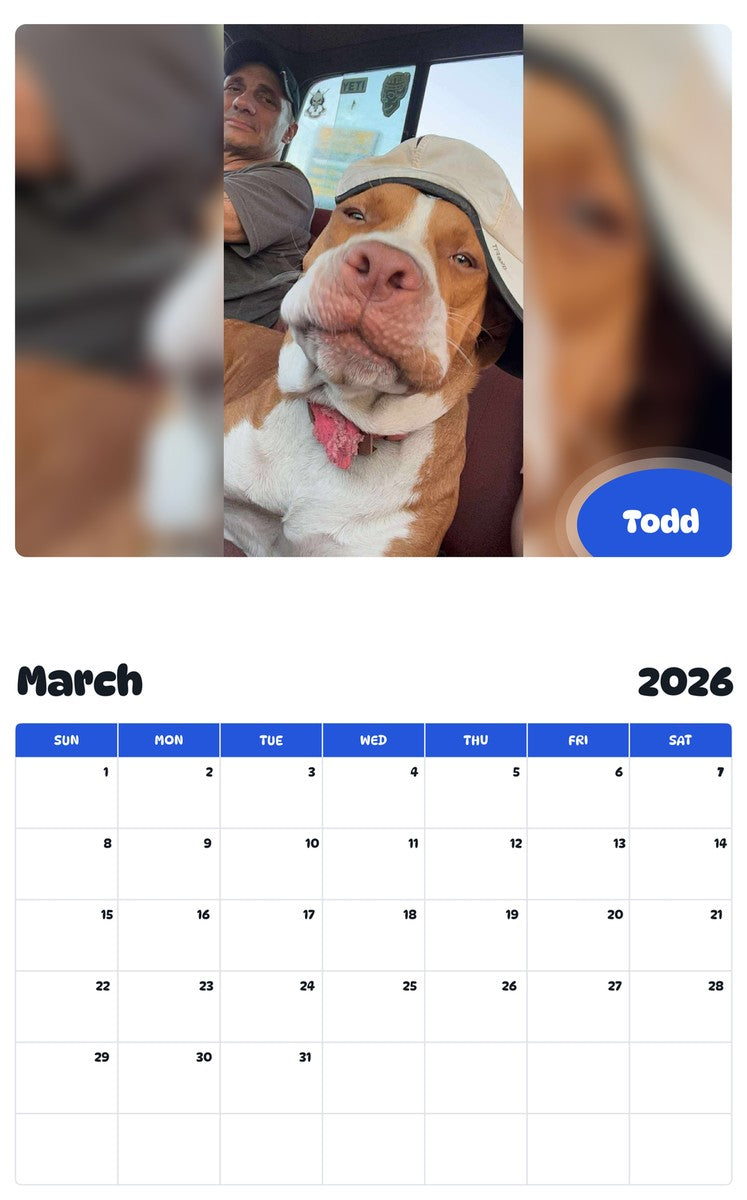 November 2025 - October 2026 Todd - Pawidols Pet Calendar