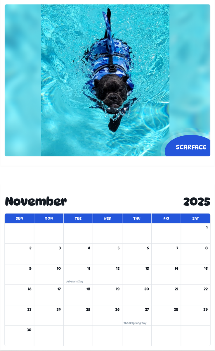 July 2025 - June 2026 Scarface - Pawidols Pet Calendar