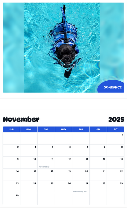 July 2025 - June 2026 Scarface - Pawidols Pet Calendar