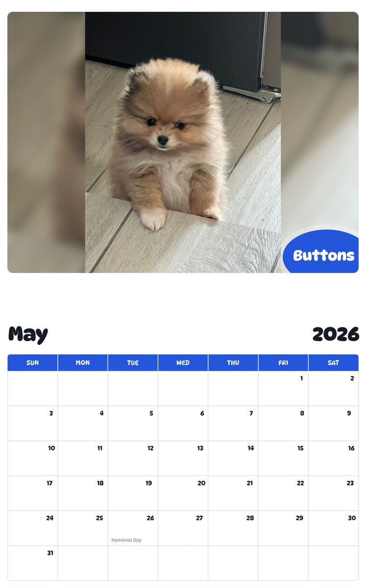 2026 - 2027 Buttons - Pawidols Pet Calendar