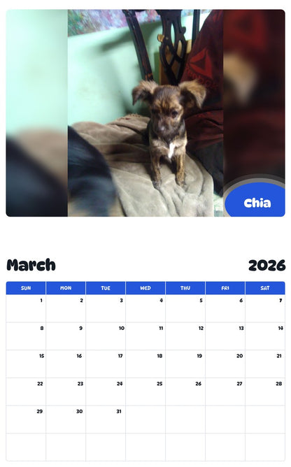 November 2025 - October 2026 Chia - Pawidols Pet Calendar