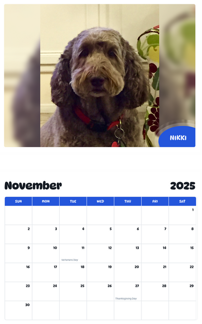 July 2025 - June 2026 Nikki - Pawidols Pet Calendar