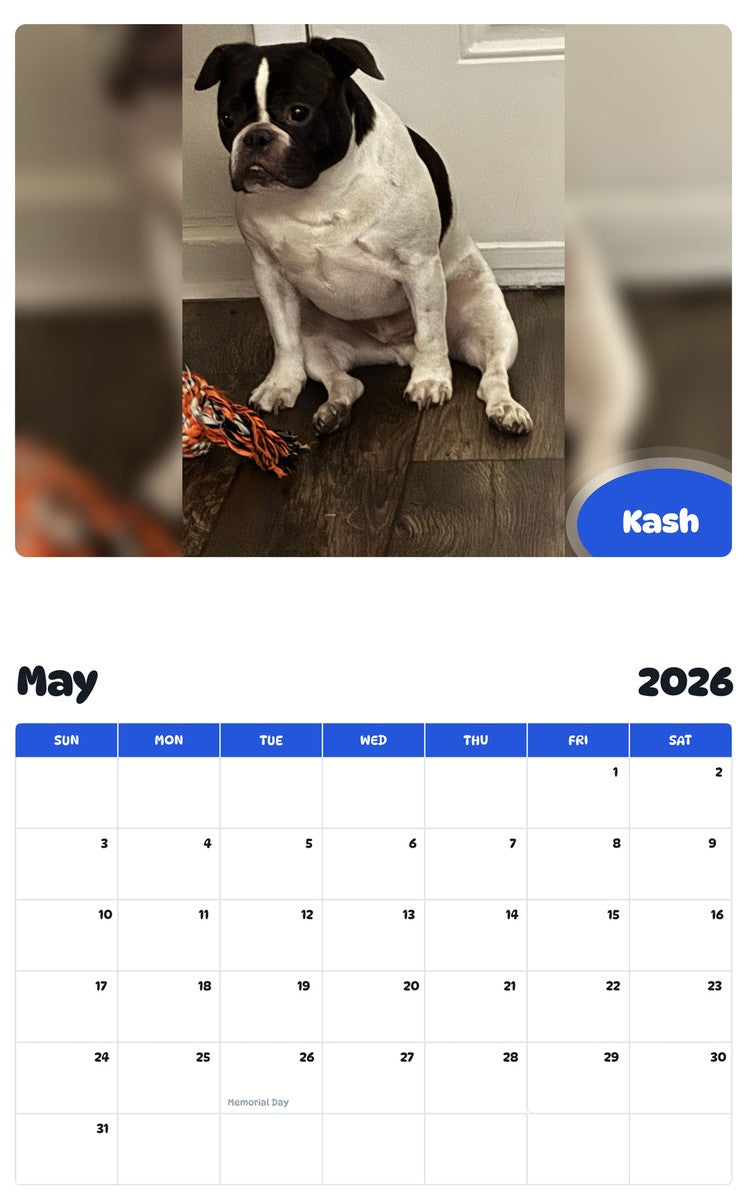 2026 - 2027 Kash - Pawidols Pet Calendar
