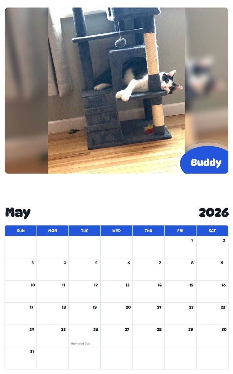 2026 - 2027 Buddy - Pawidols Pet Calendar