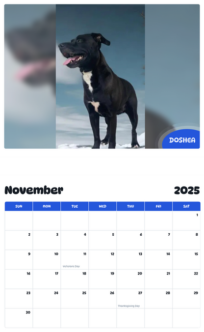 July 2025 - June 2026 Doshea - Pawidols Pet Calendar