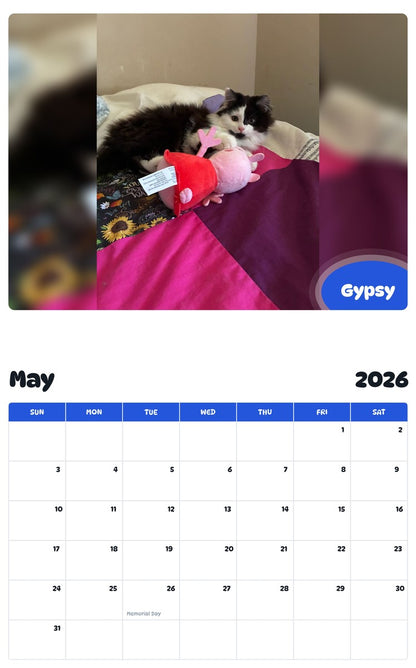 2026 - 2027 Gypsy - Pawidols Pet Calendar