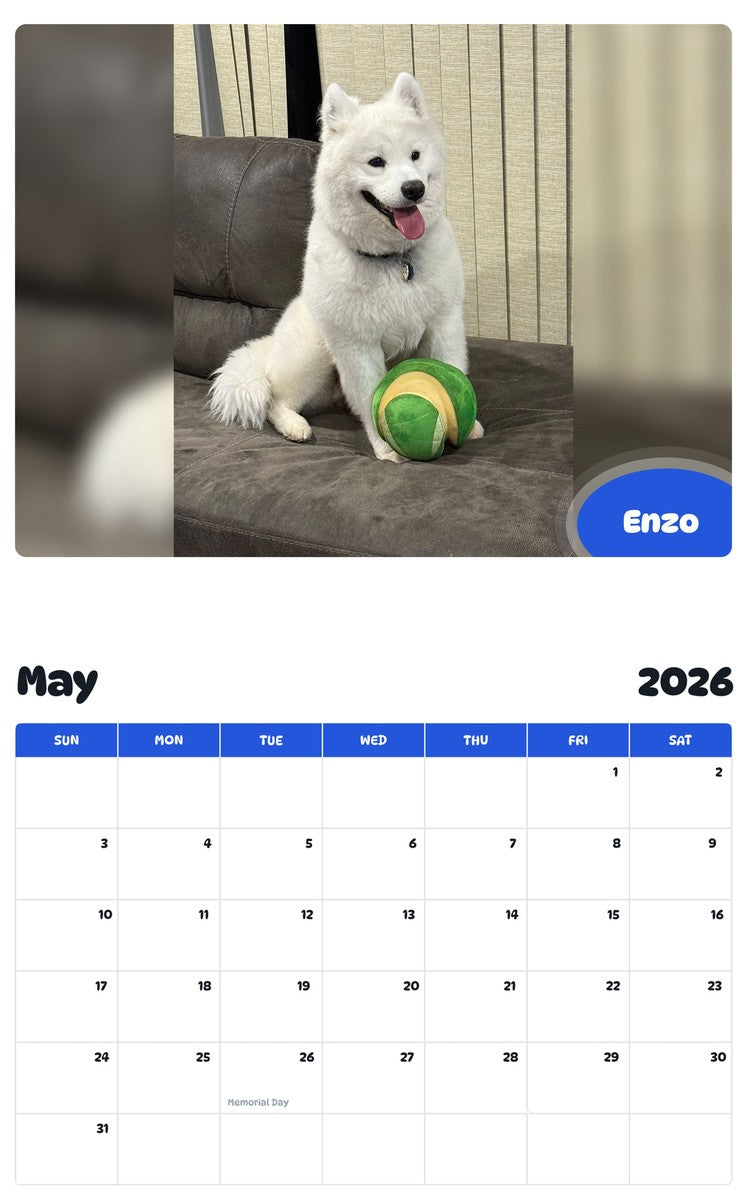 2026 - 2027 Enzo - Pawidols Pet Calendar