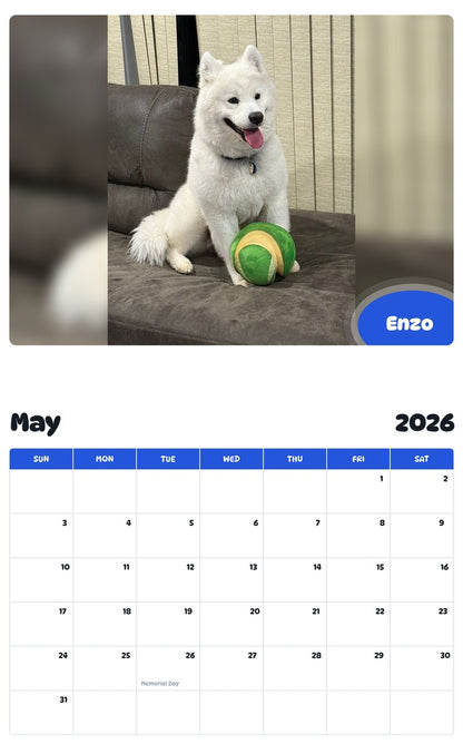 2026 - 2027 Enzo - Pawidols Pet Calendar